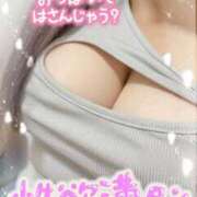 ヒメ日記 2025/07/06 18:28 投稿 せいな 大阪ぽっちゃりマニア 十三店