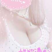 ヒメ日記 2025/07/20 12:01 投稿 せいな 大阪ぽっちゃりマニア 十三店