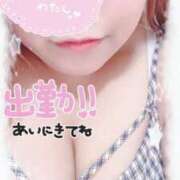 ヒメ日記 2025/07/28 11:08 投稿 せいな 大阪ぽっちゃりマニア 十三店