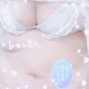 ヒメ日記 2025/09/27 12:09 投稿 せいな 大阪ぽっちゃりマニア 十三店