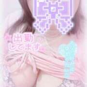 ヒメ日記 2025/11/02 15:20 投稿 せいな 大阪ぽっちゃりマニア 十三店