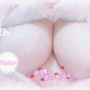 ヒメ日記 2025/11/12 12:30 投稿 せいな 大阪ぽっちゃりマニア 十三店