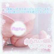 ヒメ日記 2025/11/25 23:33 投稿 せいな 大阪ぽっちゃりマニア 十三店