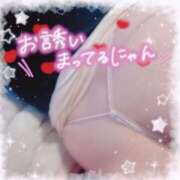 ヒメ日記 2025/11/30 12:12 投稿 せいな 大阪ぽっちゃりマニア 十三店