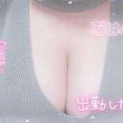 ヒメ日記 2025/12/22 11:15 投稿 せいな 大阪ぽっちゃりマニア 十三店