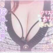 ヒメ日記 2025/12/24 21:01 投稿 せいな 大阪ぽっちゃりマニア 十三店