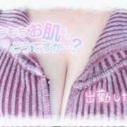 ヒメ日記 2025/12/27 13:36 投稿 せいな 大阪ぽっちゃりマニア 十三店