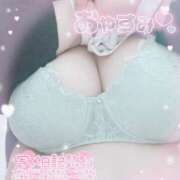 ヒメ日記 2025/12/28 02:53 投稿 せいな 大阪ぽっちゃりマニア 十三店