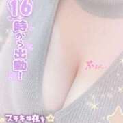 ヒメ日記 2025/12/28 18:11 投稿 せいな 大阪ぽっちゃりマニア 十三店