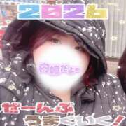 ヒメ日記 2026/01/02 18:17 投稿 せいな 大阪ぽっちゃりマニア 十三店