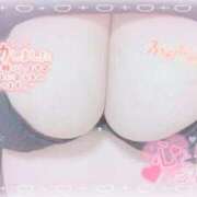 ヒメ日記 2026/01/16 11:05 投稿 せいな 大阪ぽっちゃりマニア 十三店