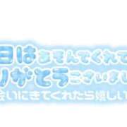ヒメ日記 2026/01/18 00:56 投稿 せいな 大阪ぽっちゃりマニア 十三店