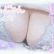 ヒメ日記 2026/01/20 08:01 投稿 せいな 大阪ぽっちゃりマニア 十三店