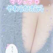 ヒメ日記 2026/01/21 13:31 投稿 せいな 大阪ぽっちゃりマニア 十三店