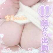 ヒメ日記 2026/01/26 10:04 投稿 せいな 大阪ぽっちゃりマニア 十三店