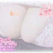 ヒメ日記 2026/01/26 11:36 投稿 せいな 大阪ぽっちゃりマニア 十三店