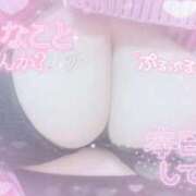 ヒメ日記 2026/01/27 11:06 投稿 せいな 大阪ぽっちゃりマニア 十三店