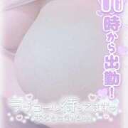 ヒメ日記 2026/01/28 08:00 投稿 せいな 大阪ぽっちゃりマニア 十三店