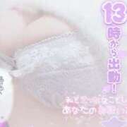 ヒメ日記 2026/01/31 09:39 投稿 せいな 大阪ぽっちゃりマニア 十三店