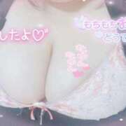 ヒメ日記 2026/01/31 13:01 投稿 せいな 大阪ぽっちゃりマニア 十三店