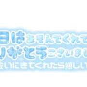 ヒメ日記 2026/01/31 23:58 投稿 せいな 大阪ぽっちゃりマニア 十三店