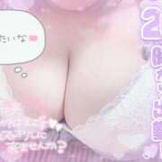 ヒメ日記 2026/02/11 12:58 投稿 せいな 大阪ぽっちゃりマニア 十三店