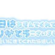 ヒメ日記 2026/02/12 01:34 投稿 せいな 大阪ぽっちゃりマニア 十三店