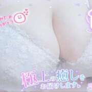 ヒメ日記 2026/02/12 08:01 投稿 せいな 大阪ぽっちゃりマニア 十三店