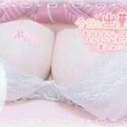 ヒメ日記 2026/02/22 14:08 投稿 せいな 大阪ぽっちゃりマニア 十三店