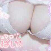 ヒメ日記 2026/02/24 09:32 投稿 せいな 大阪ぽっちゃりマニア 十三店