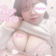 ヒメ日記 2026/03/02 08:01 投稿 せいな 大阪ぽっちゃりマニア 十三店