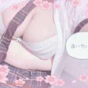 ヒメ日記 2026/03/12 11:03 投稿 せいな 大阪ぽっちゃりマニア 十三店