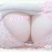 ヒメ日記 2026/03/13 07:31 投稿 せいな 大阪ぽっちゃりマニア 十三店