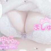 ヒメ日記 2026/03/14 13:38 投稿 せいな 大阪ぽっちゃりマニア 十三店