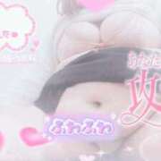 ヒメ日記 2026/03/22 16:03 投稿 せいな 大阪ぽっちゃりマニア 十三店