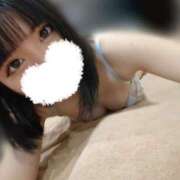 ヒメ日記 2025/04/09 13:15 投稿 ゆに CECIL