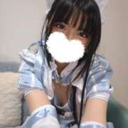 ヒメ日記 2025/04/20 06:01 投稿 ゆに CECIL