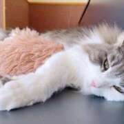 ヒメ日記 2025/06/14 22:19 投稿 泉水沙耶 札幌ソフィア