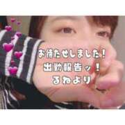 ヒメ日記 2025/04/13 00:44 投稿 るね 素人巨乳ちゃんこ「東千葉店」