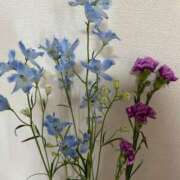 ヒメ日記 2025/04/29 17:27 投稿 神崎 ダイヤモンドクラブ