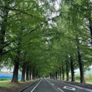 ヒメ日記 2025/08/26 14:57 投稿 神崎 ダイヤモンドクラブ