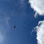 ヒメ日記 2025/05/09 10:05 投稿 陽 谷町人妻ゴールデン倶楽部