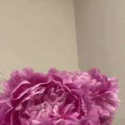 ヒメ日記 2025/06/20 09:55 投稿 陽 谷町人妻ゴールデン倶楽部