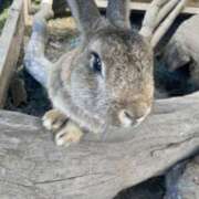 ヒメ日記 2025/07/25 10:00 投稿 陽 谷町人妻ゴールデン倶楽部