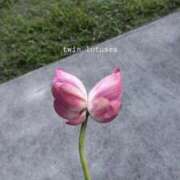 ヒメ日記 2025/07/30 10:00 投稿 陽 谷町人妻ゴールデン倶楽部