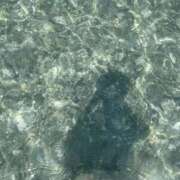 ヒメ日記 2025/08/05 04:30 投稿 陽 谷町人妻ゴールデン倶楽部