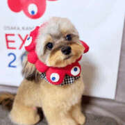 ヒメ日記 2025/09/30 01:15 投稿 陽 谷町人妻ゴールデン倶楽部