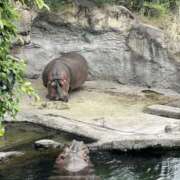 ヒメ日記 2025/10/03 23:55 投稿 陽 谷町人妻ゴールデン倶楽部