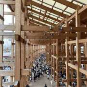 ヒメ日記 2025/10/11 23:20 投稿 陽 谷町人妻ゴールデン倶楽部