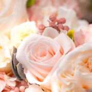 ヒメ日記 2025/07/28 10:07 投稿 紗良 変態プレイ専門店 マニアック女人館 本館